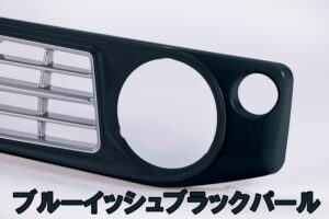 _Y5_0017_ブルーイッシュブラックパール3